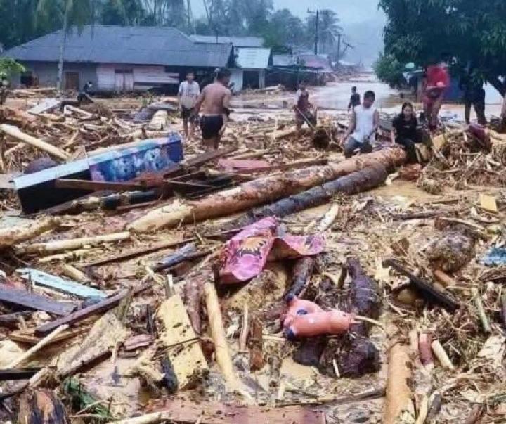 Panja RUU Kehutanan Komisi IV Soroti Pembalakan Liar dan Kerusakan Hutan