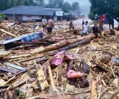 Panja RUU Kehutanan Komisi IV Soroti Pembalakan Liar dan Kerusakan Hutan