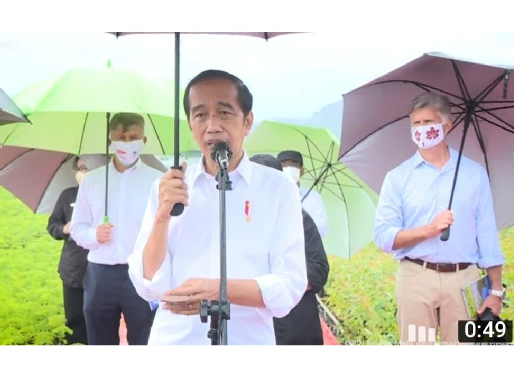 Jokowi Paksa Pihak Pertambangan dan Kelapa Sawit Siapkan Nursery Center