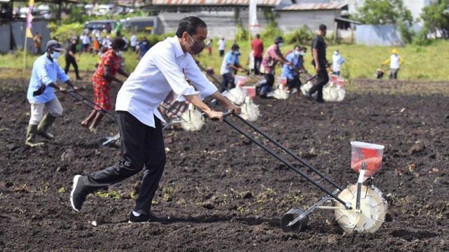 Usai Resmikan Bendungan Karalloe, Presiden Jokowi Tanam Jagung di Jeneponto