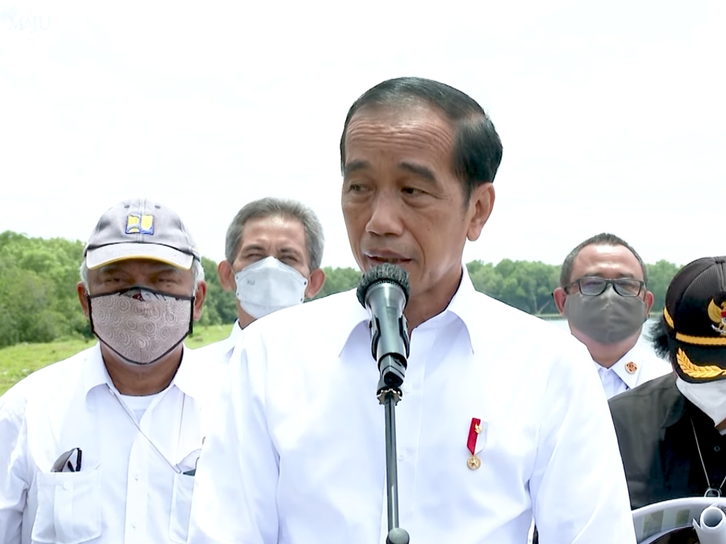 Jadi Tuan Rumah, Jokowi Akan Ajak 20 Pimpinan G20 Tinjau Konservasi Mangrove di Bali