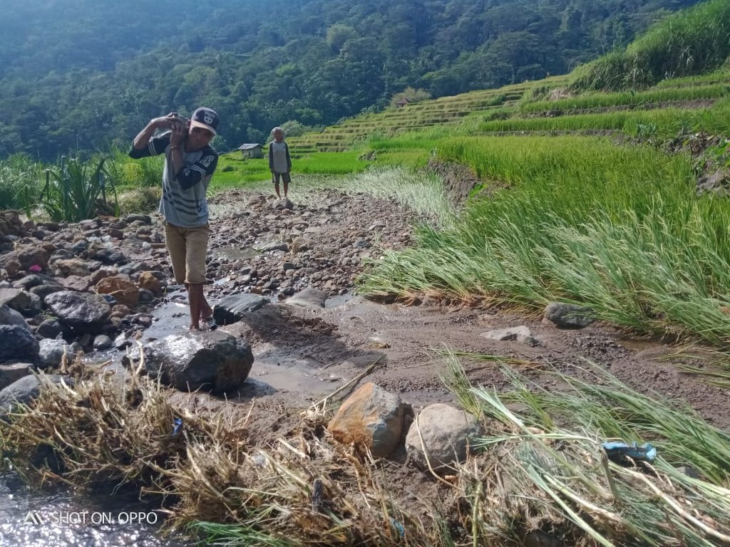 4 Hektar Persawahan Terendam Banjir Bandang, Masyarakat di NTT Potensi Gagal Panen