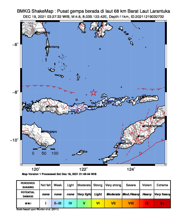 Gempa Magnitudo 4,6 Guncang Larantuka Getaran Dirasakan Hingga Maumere
