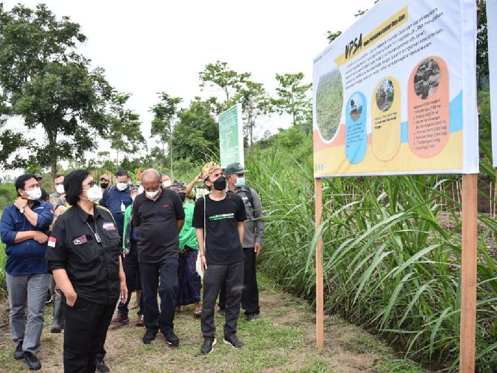 Siti Nurbaya Bakar dalam Aksi Tanam 86.000 Pohon