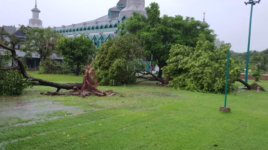 Hujan dan Angin Kencang Tumbangkan Belasan Pohon di Kawasan Masjid Al-Markaz Makassar