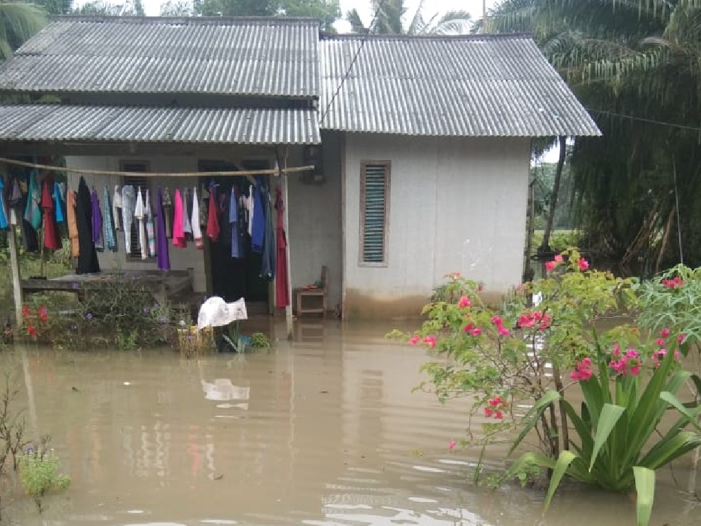 Curah Hujan Tinggi, 150 KK Terdampak Banjir di Lampung