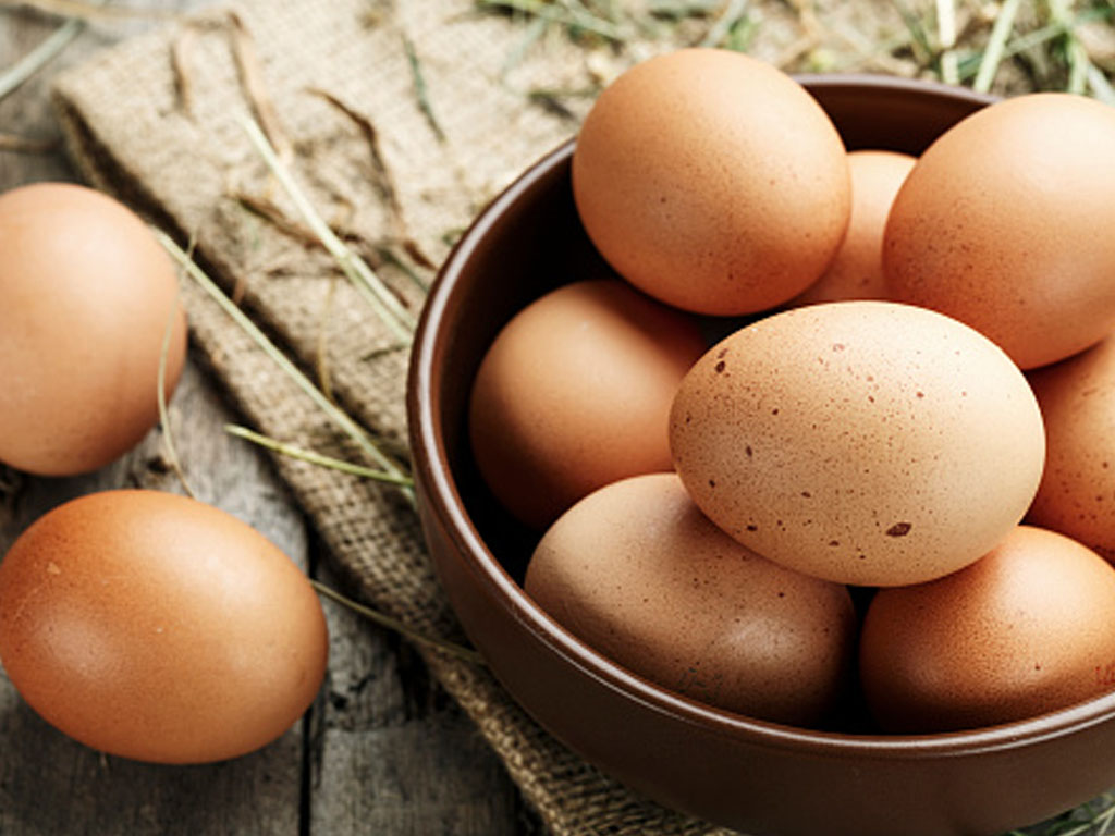 Menteri Perdagangan Sebut Harga Telur dan Ayam akan Normal di Januari 2022