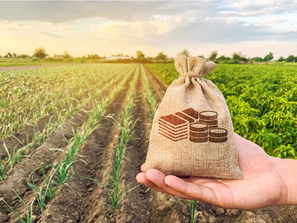 GMKI: Pemerintah Harus Melihat Bank Tanah sebagai Cita-cita Reforma Agraria