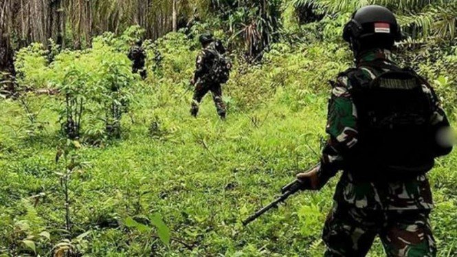Tiga Anggota KKB yang Bunuh Tukang Ojek asal Pangkep Berhasil Dilumpuhkan TNI