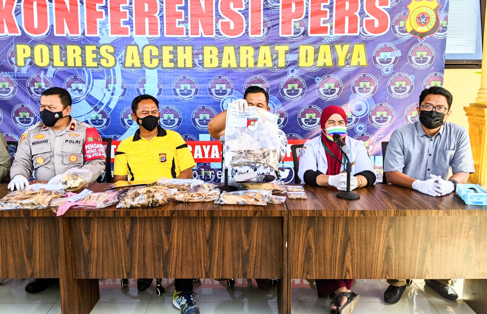 Polres Abdya Tangkap 3 Terduga Pelaku Pembunuh Harimau Sumatera