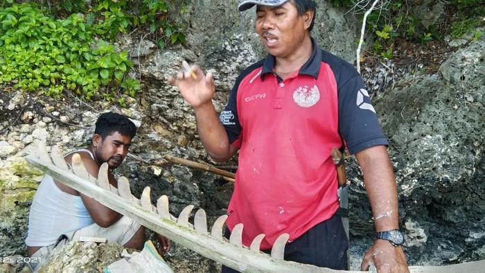 Tulang Ikan Raksasa Ditemukan di Kepulauan Selayar