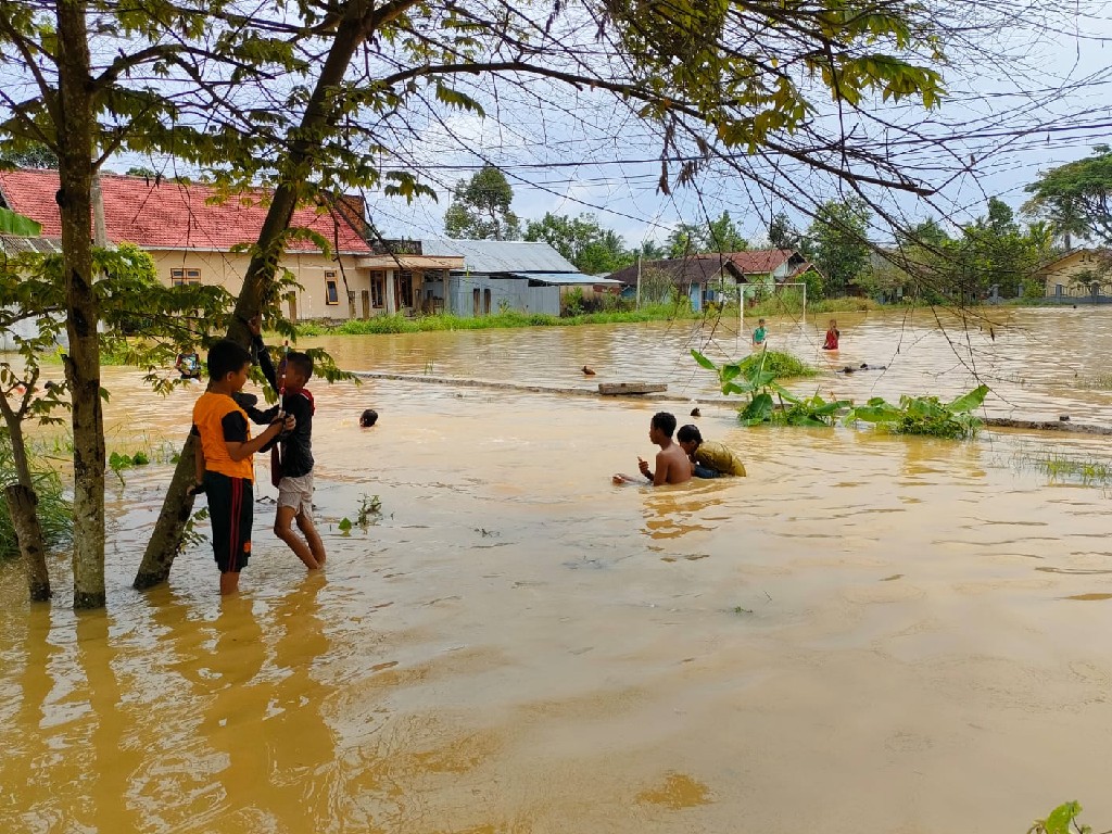 Banjir di Kota Samarinda Kaltim, 295 Rumah Tergenang