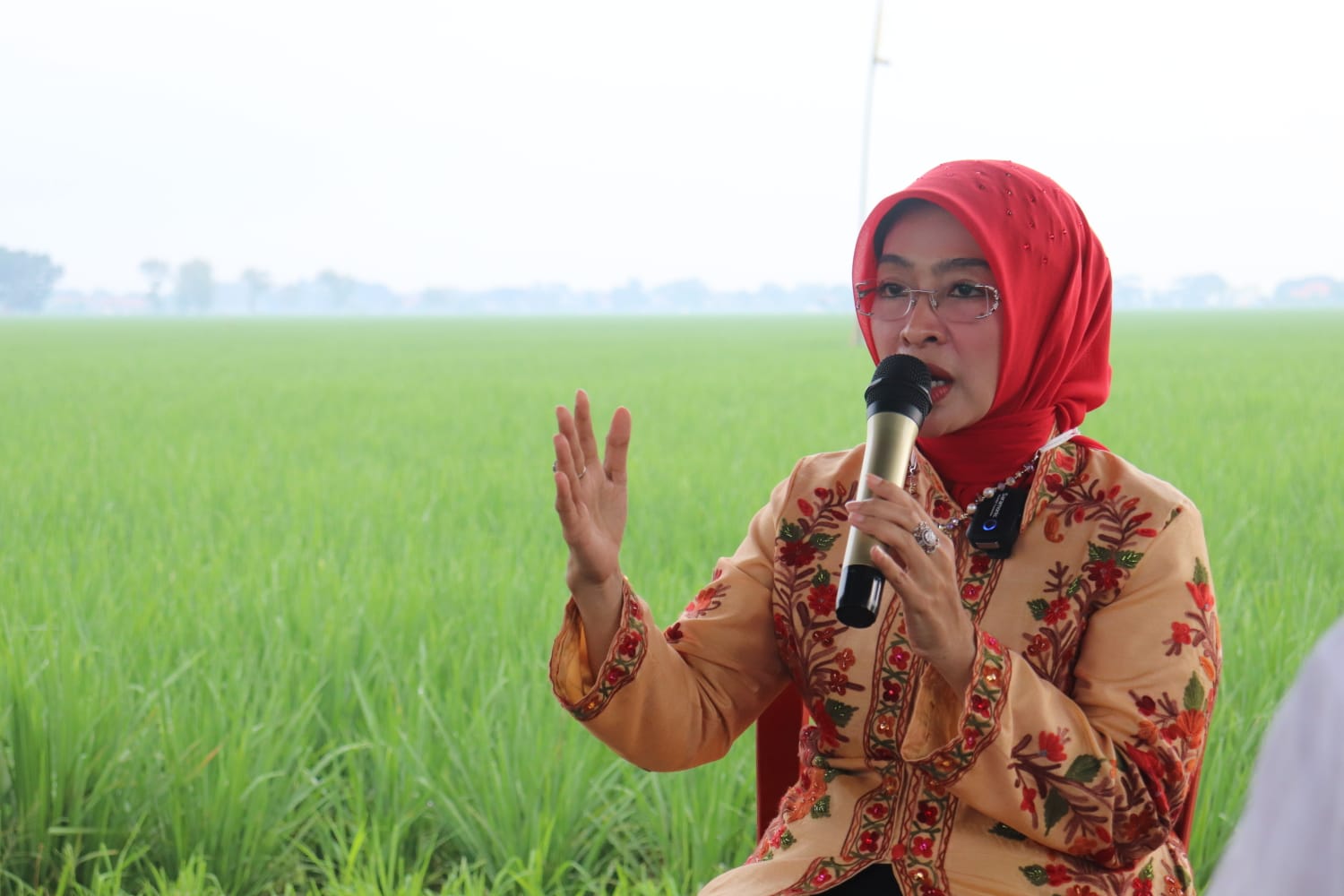 Tradisi Adat Pasang Panjeran, Wabup Cirebon: Harus Dipertahankan