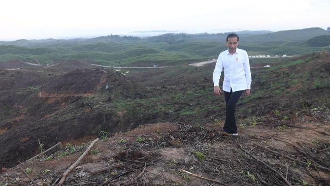 Jokowi Berencana Kemah di IKN, Jaringan Listrik sampai Telekomunikasi Disiapkan