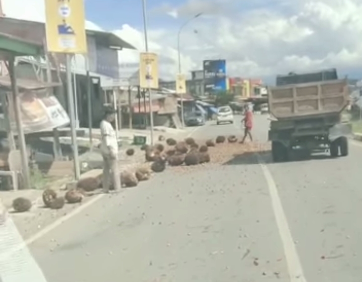 Warga Mateng Sulbar Keluhkan Kelapa Sawit yang Berhamburan di Jalan