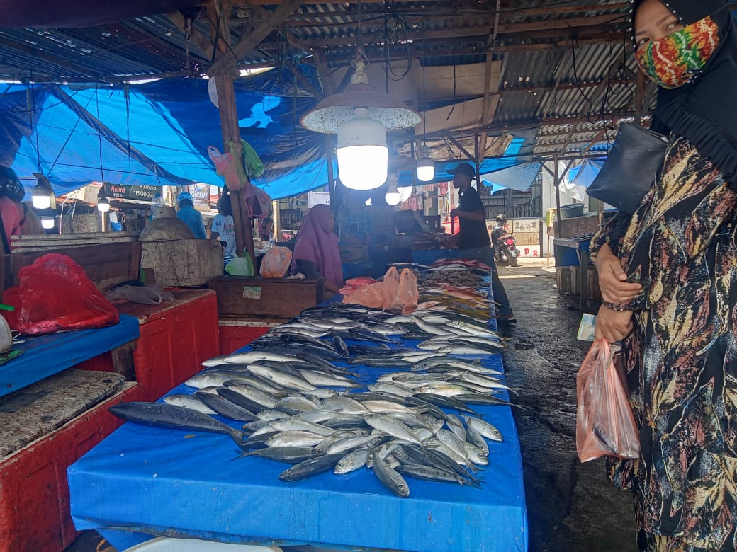Jelang Ramadan Harga Ikan di Mamuju Turun, Hanya Bandeng yang Naik