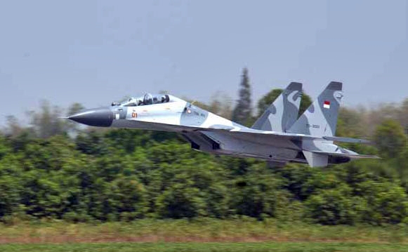 Ukraina Klaim Tembak Jatuh Pesawat Tempur Canggih Rusia, Sukhoi Su-30
