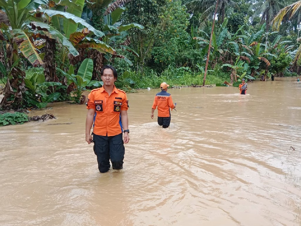 Rumah dan Peternakan Babi Ikut Terdampak Banjir di Minahasa Selatan