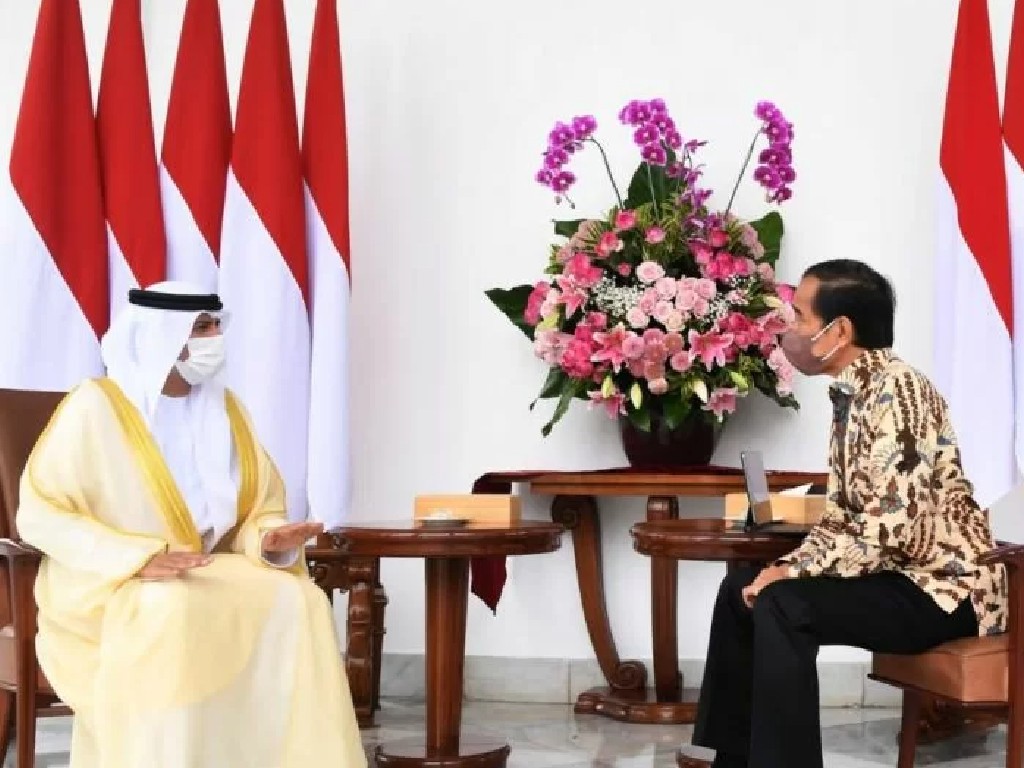 Luhut Ungkap Agenda Presiden Jokowi dengan Delegasi Persatuan Emirat Arab