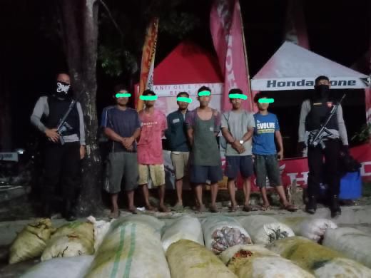 Polisi Bekuk Komplotan Pencuri TBS Sawit di Aceh