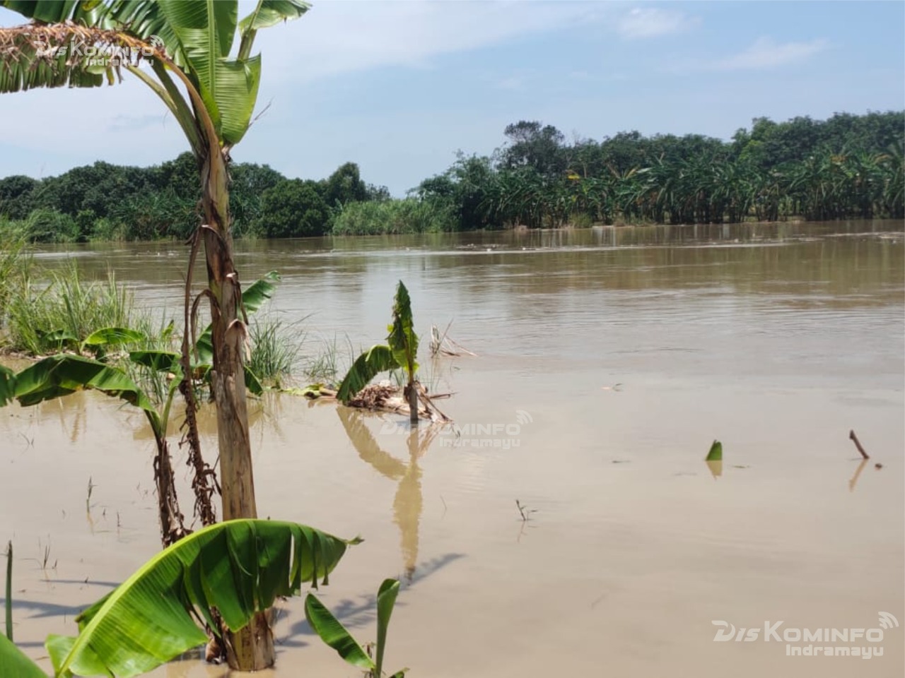 Meski Surut, Warga Sekitar Sungai Cimanuk Indramayu Diminta Tetap Waspada