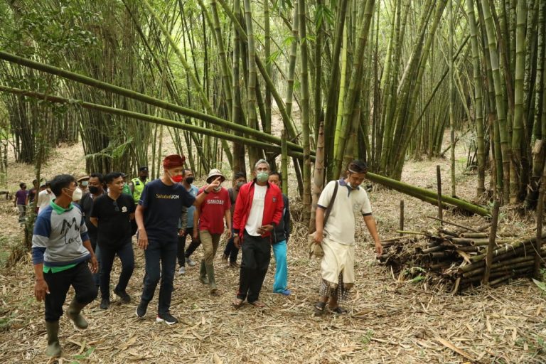 Nama Ganjar Diusulkan Jadi Nama Bukit Hutan Bambu di Bali