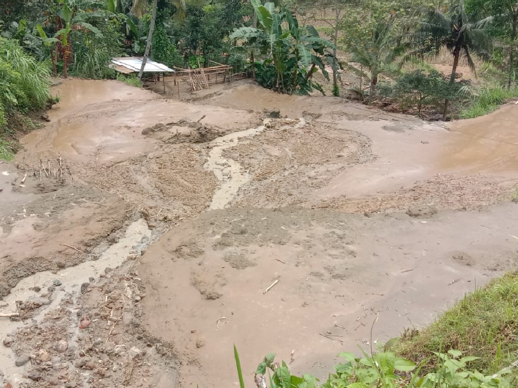 Tanah Longsor di Cilacap, Ternak Mati dan Jalan Desa Lumpuh Total