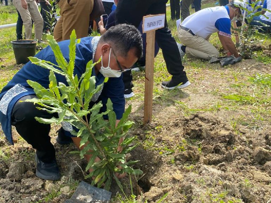 Peringati Hari Bumi Sedunia, HKBP - BPODT Tanam Pohon dan Tabur Benih Ikan