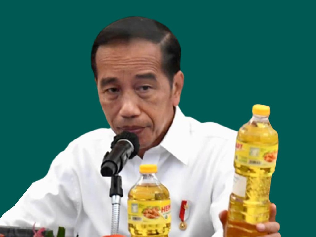 Jokowi Digugat di Pengadilan Karena Gagal Menjamin Pasokan Minyak Goreng