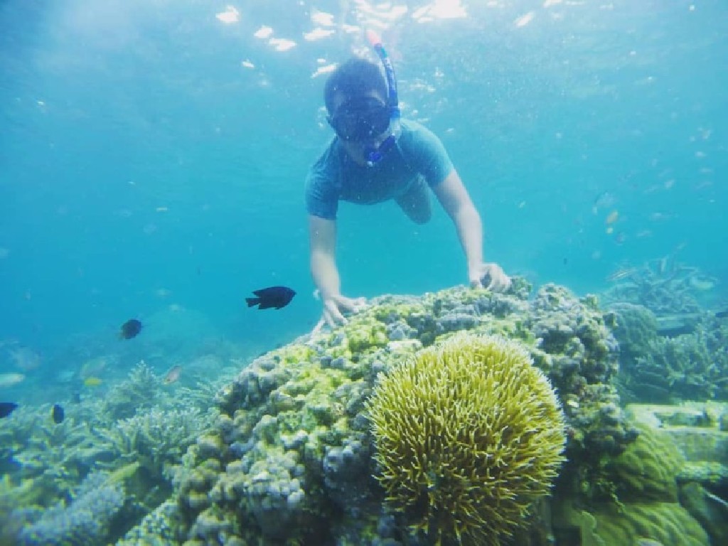 Musim Panas Enaknya Nyemplung ke 5 Spot Snorkeling di Pulau Seribu, Jakarta