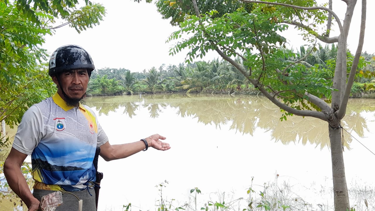 Petani Tambak Ikan di Mamuju Gagal Panen Akibat Banjir, Kerugian Hingga Puluhan Juta