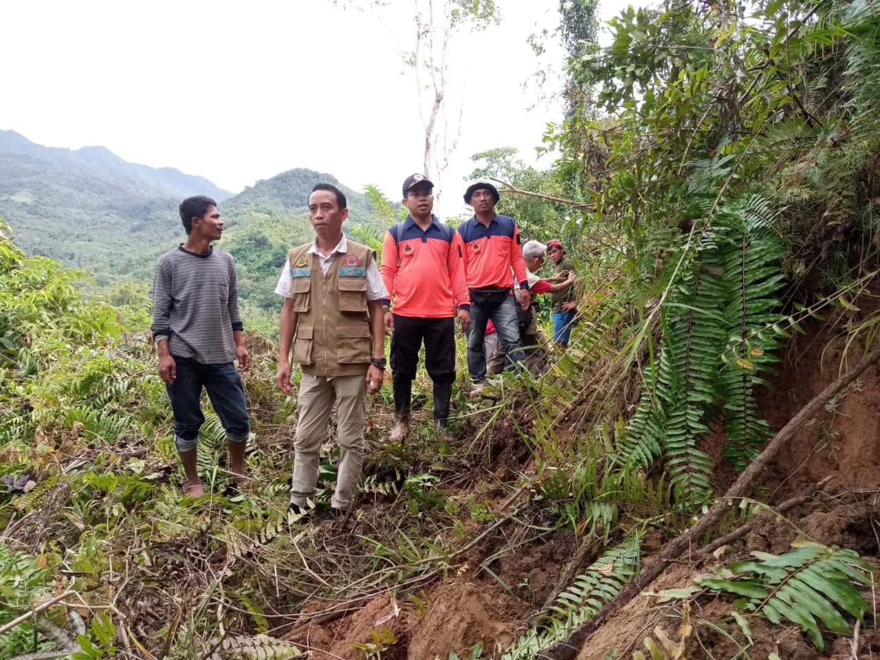 BPBD Mamuju Temukan Retakan Tanah di Kalumpang, Warga Diminta Waspada