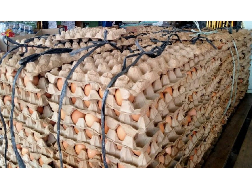 Efek Banyak Hajatan, Harga Telur di Aceh Barat Daya Naik Rp 5.000/Papan