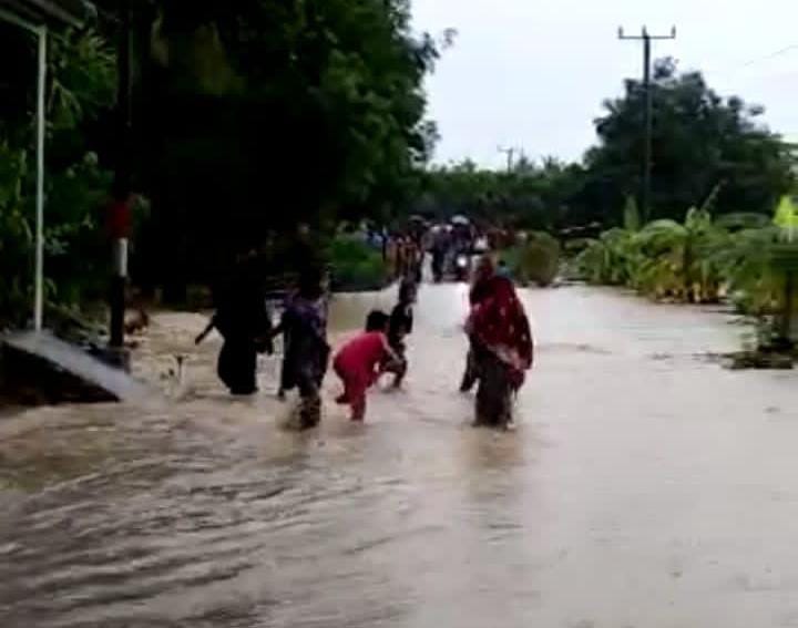 Ladang Jagung Warga di Mamuju Terancam Gagal Panen Akibat Banjir