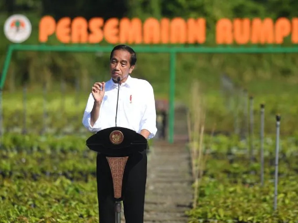 Presiden Jokowi Kunjungi Pusat Persemaian Modern Rumpin di Bogor