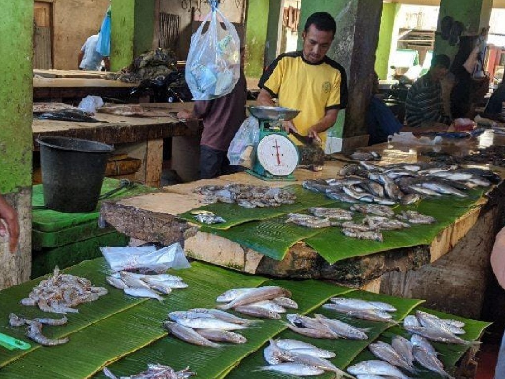 Gegara Cuaca Ekstrem, Harga Ikan di Aceh Barat Daya Naik