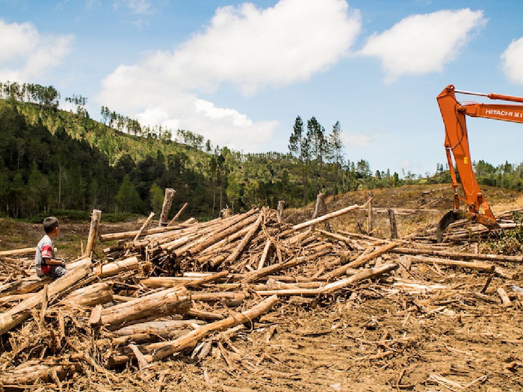 17 Merek dan Bank Multinasional Gagal Menghentikan Deforestasi dan Eksploitasi 