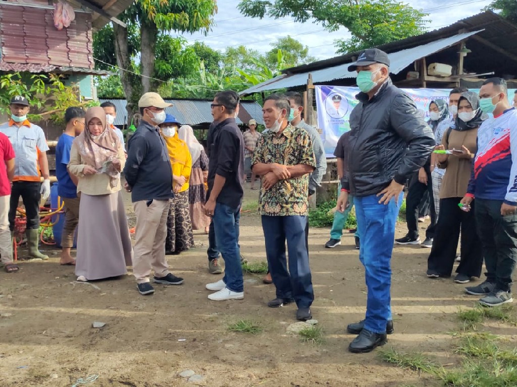 Ternak di Abdya Terpapar Penyakit PMK, Gubernur Aceh: Masih Bisa Sembuh
