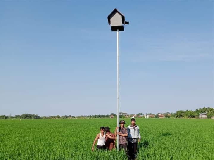 Salah Satu Desa di Kabupaten Indramayu Siapkan Rumah Burung Hantu