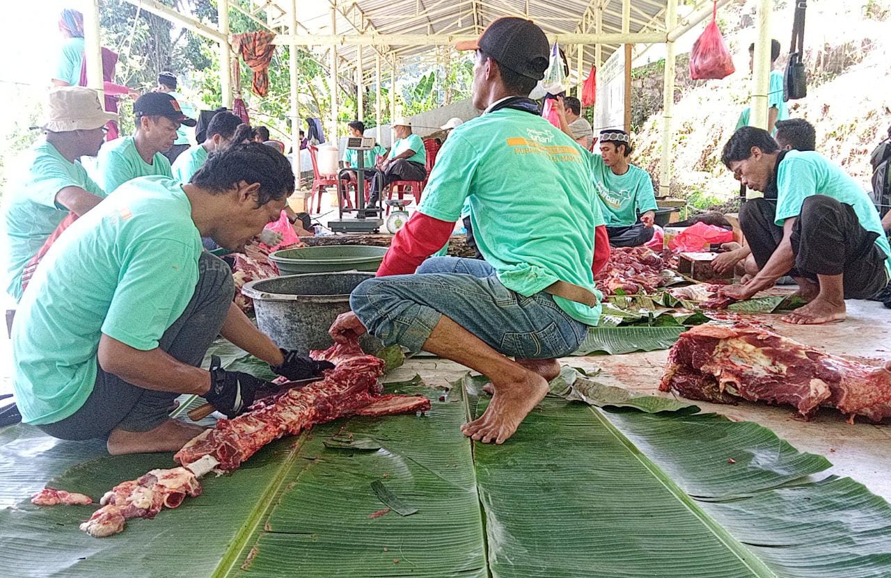 Daging Kurban Muhammadiyah Mamuju akan Dibagikan untuk Korban Banjir