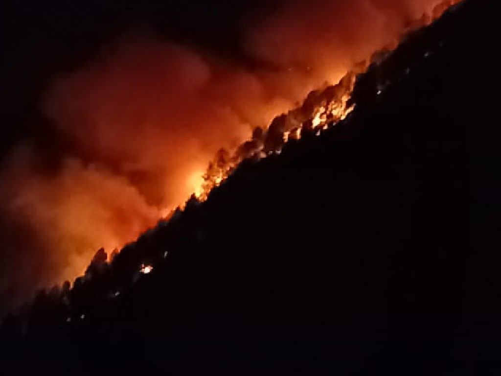 Kebakaran Hutan di Kawasan Danau Toba, Seorang Warga Meninggal Dunia