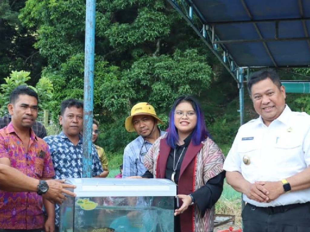 Ihan Batak Terancam Punah di Danau Toba, Pemkab Dairi Lakukan Konservasi