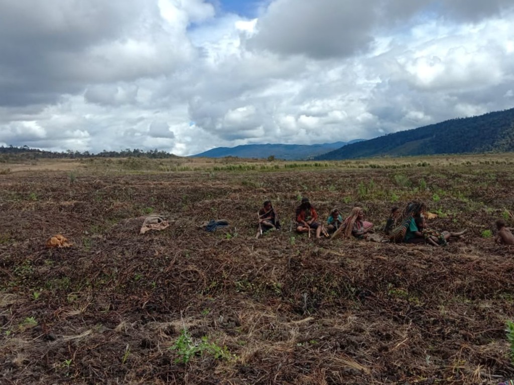 Kekeringan Melanda Kabupaten Lanny Jaya Papua 