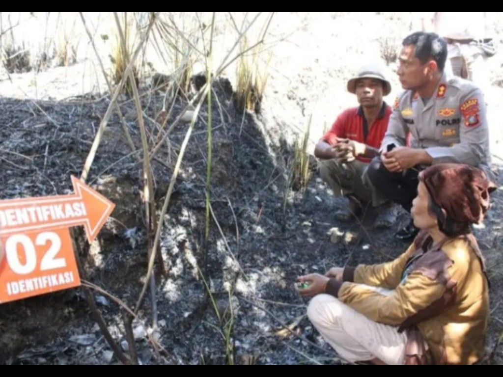 Akhirnya Pelaku Pembakaran Hutan di Samosir Ditangkap, Salah Satunya Pelajar