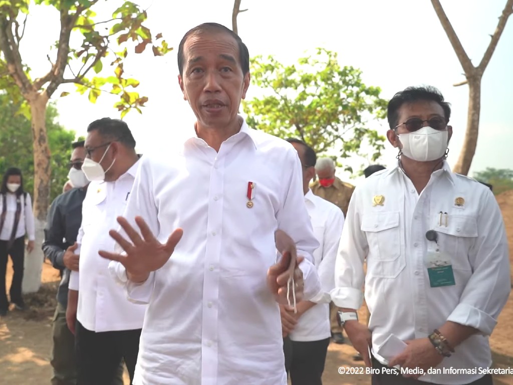 Tangkal Krisis Pangan, Jokowi Target Tanam 1 Juta Kelapa Genjah