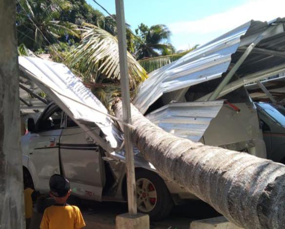 Akibat Angin Kencang, Pohon Kelapa di Majene Tumbang Timpa Mobil Milik Warga