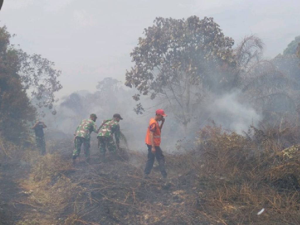 Hutan dan Lahan di Aceh Selatan Terbakar, Api Lahap 1 Hektare