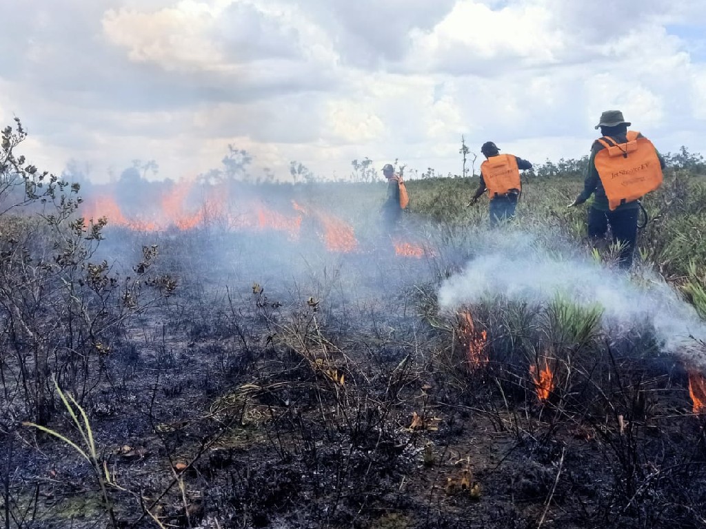 Lahan Seluas 7,5 Hektare Terbakar di Kabupaten Sukamara Kalteng