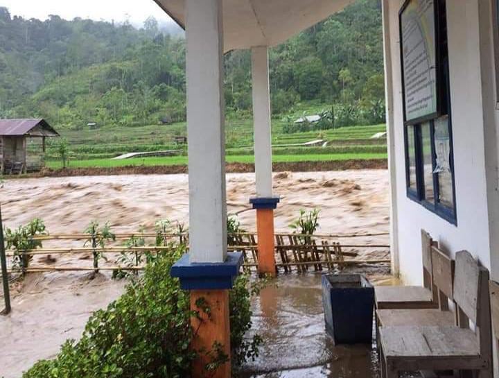 Air Sungai Meluap, Sawah Warga di Mamasa Terendam