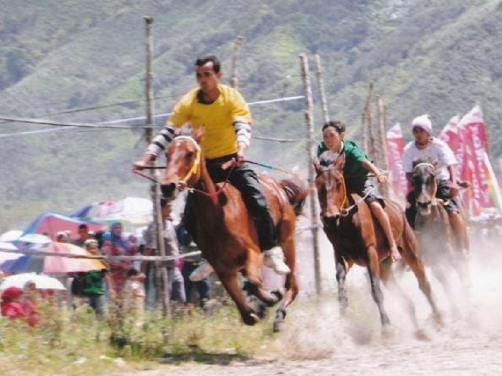 Bupati Aceh Tengah Buka Event Pacuan Kuda Tradisional Gayo